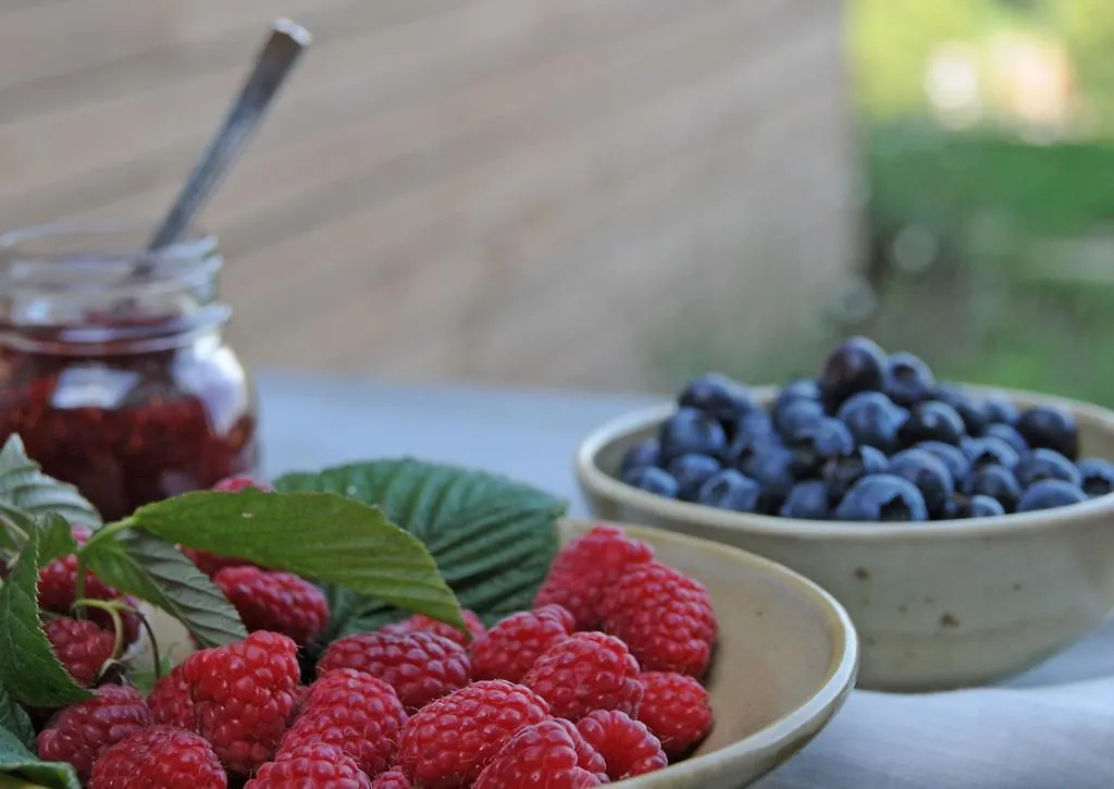 Bed & Breakfast B&B Tivano Zelbio Italy