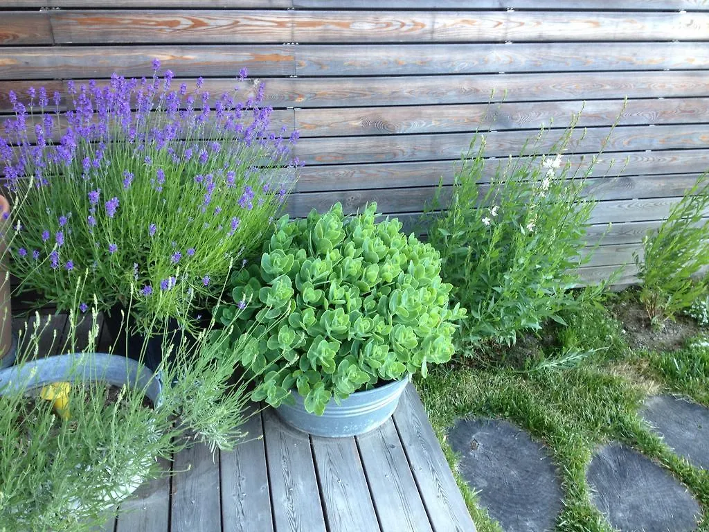 B&B Tivano Zelbio Italy